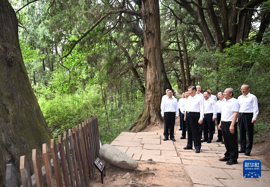 http://www.news.cn/politics/leaders/2023-07/29/1129775942_16906397952931n.jpg