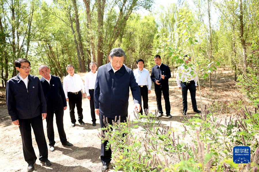 http://www.news.cn/politics/leaders/2023-06/06/1129674283_16860674563061n.JPG