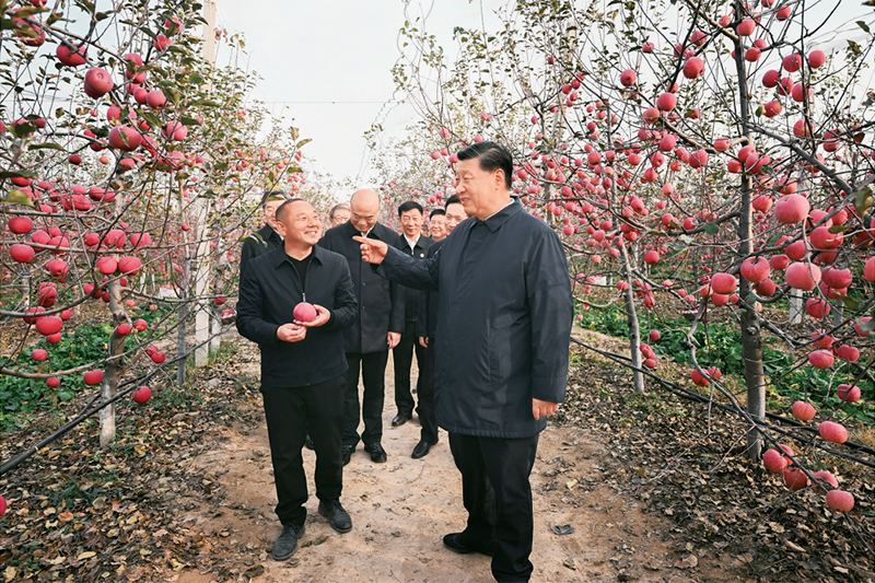 http://www.qstheory.cn/dukan/qs/2023-03/15/1129432282_16788443613971n.jpg